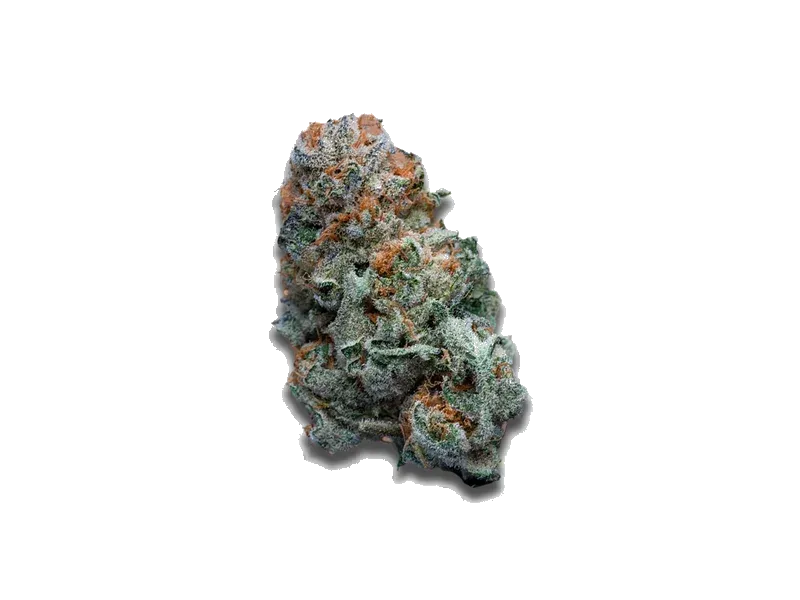 BC Green 30/1 PG