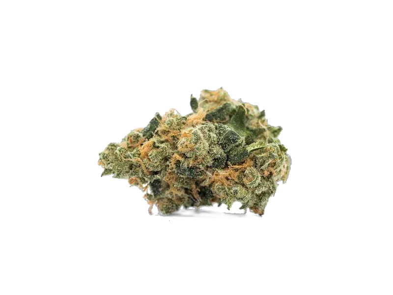 Cookies 2.0 31/1 Heavy Eyes