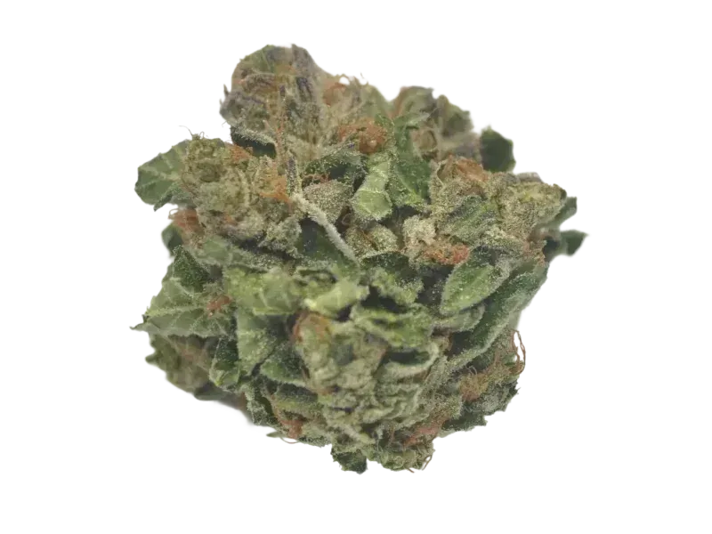 SOMA OG 28/1