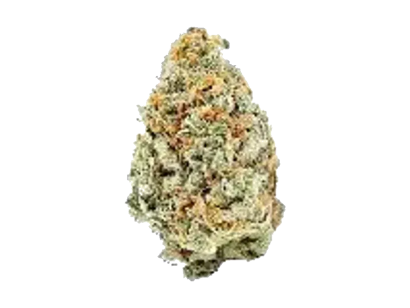mediproCan Frosty Peaks 26/1 SO