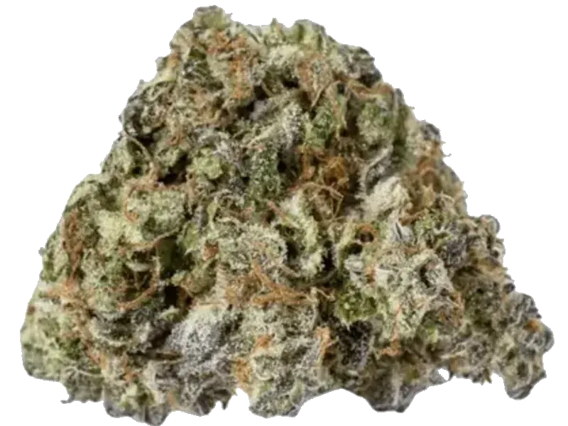 enua 27/1 DGB CA