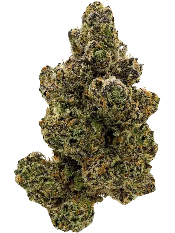 THC AKUT FB 24 KM