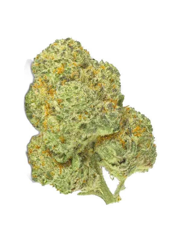 AphriaRX Cannabisblüten THC25 – SNS