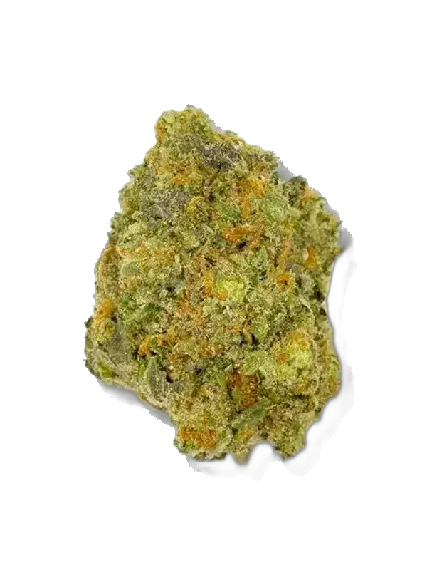 28/1 IUVO OC Neutronium
