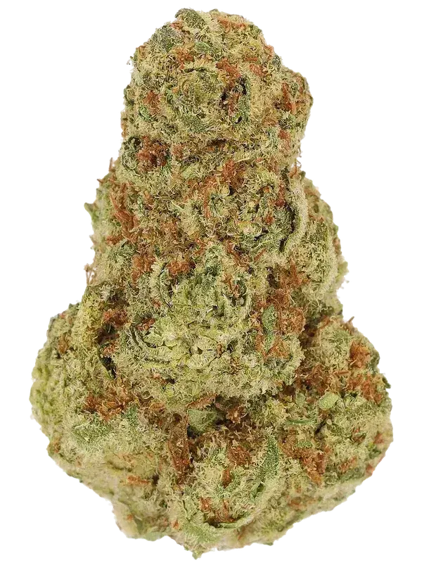 24/1 IUVO OC Ice Burn