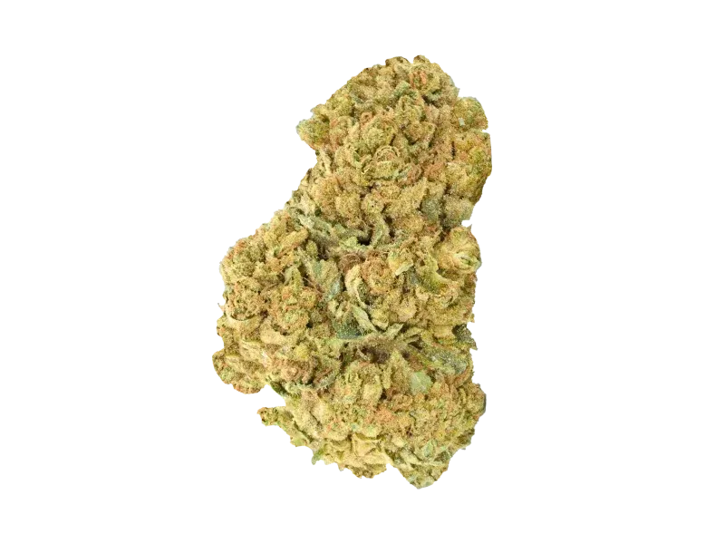 Bathera 28/1 CA AB