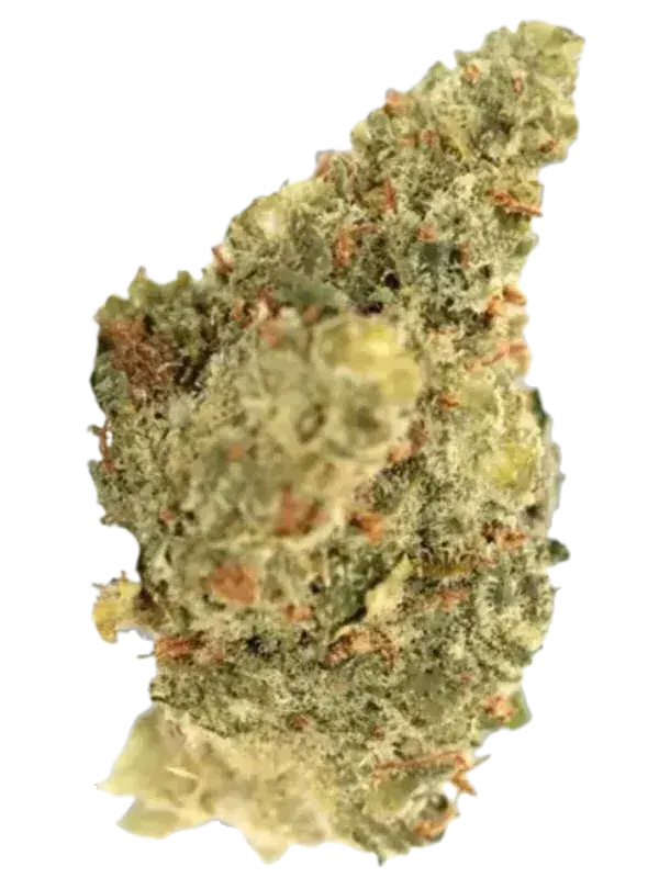 MediproCan Calyx Pure 28/1 OG