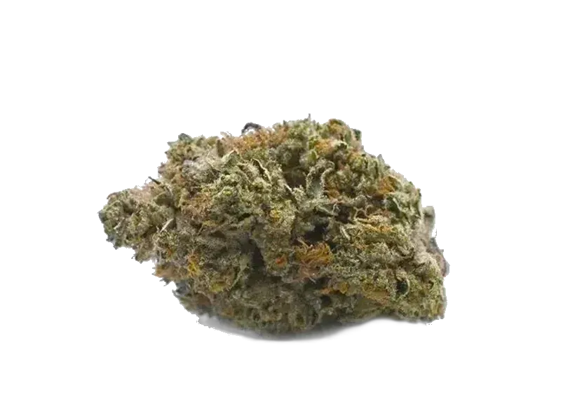 Cannamedical Hybrid Forte DK 22/1