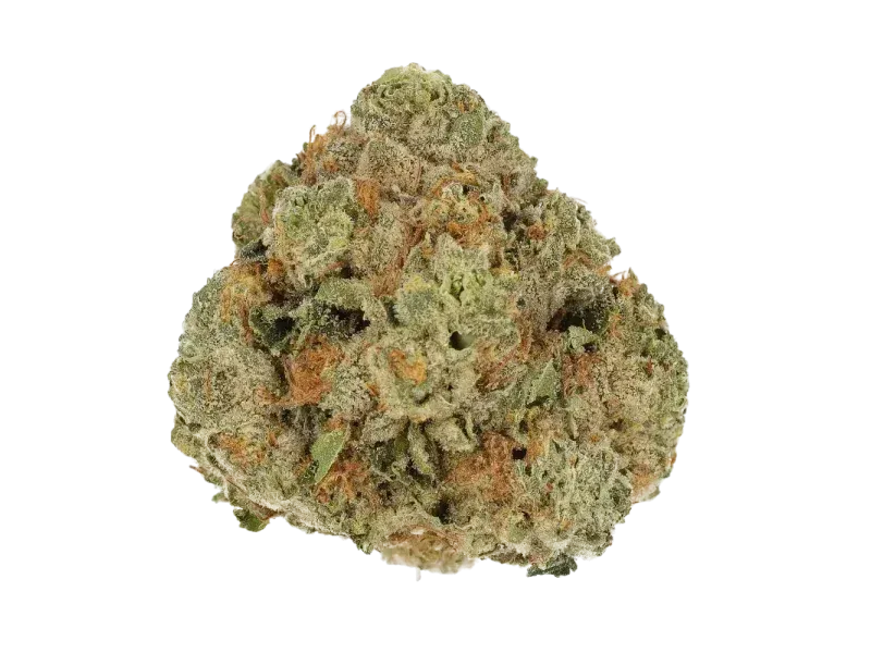 Cannamedical Sativa forte