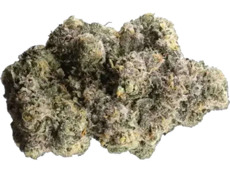 Canify Cannabis flos 1/14 LS Ku