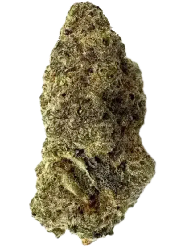 420 Evolution 25/1 CA MAC