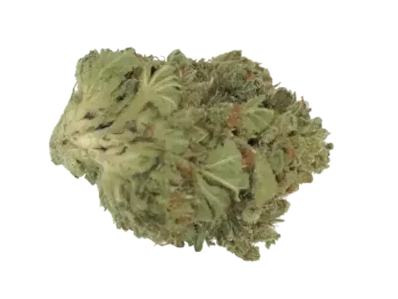 Cannamedical Indica Classic
