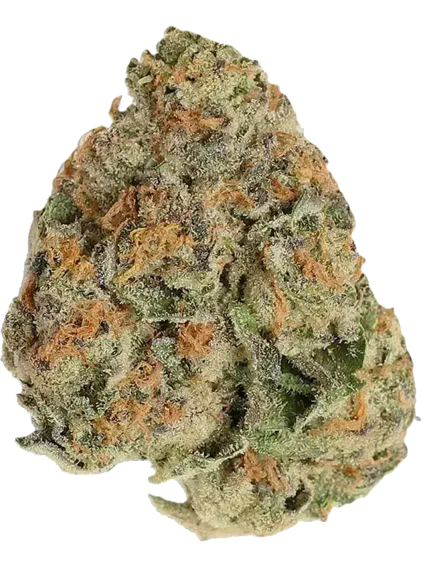 Cannamedical Indica Ultra