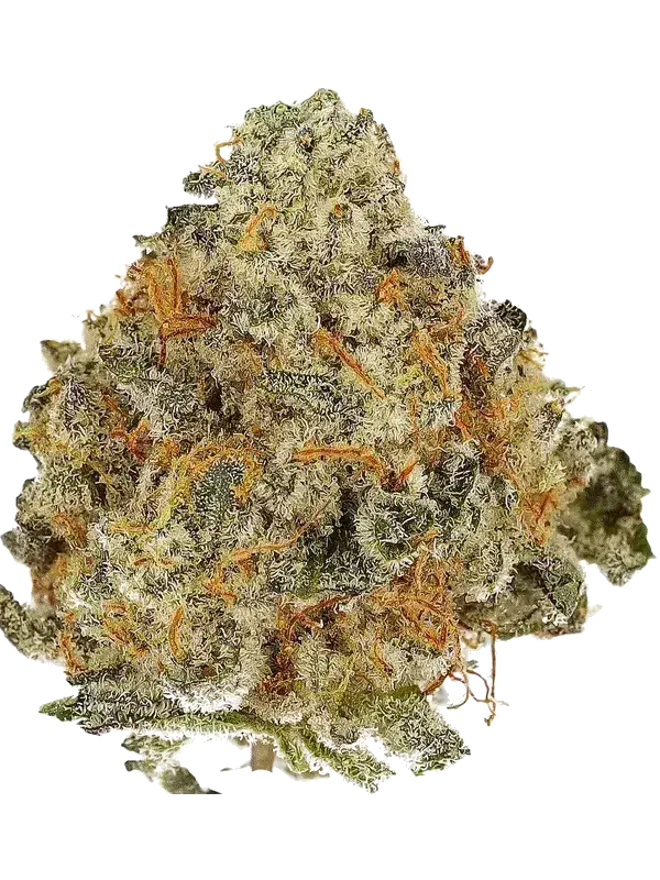 Cannamedical Sativa Forte