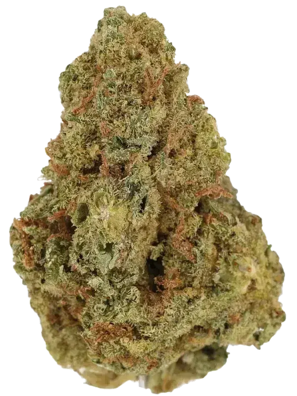 Cannamedical CM 20/1 CRM